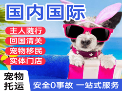 珠海莲洲国际宠物托运 【国
